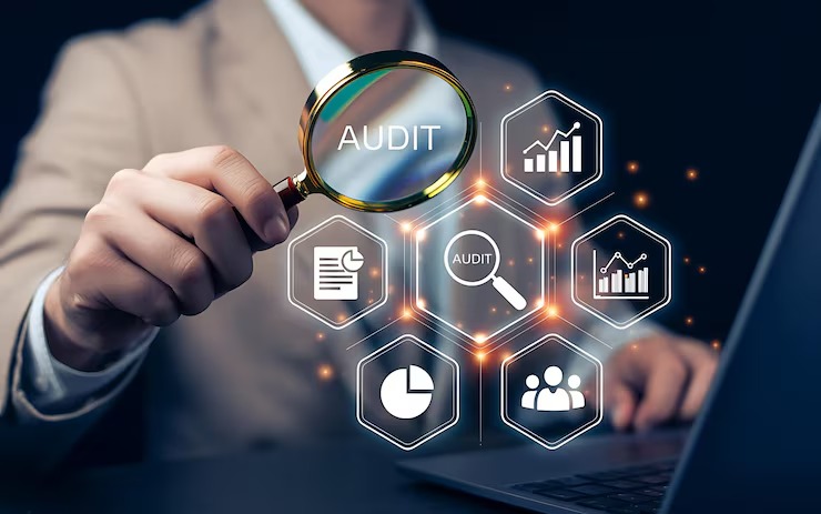 Audit & Analytics